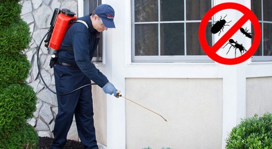 Göztepe Kene İlaçlama böcek ilaçlama ve haşere kontrolü — ilaclama-tr.com